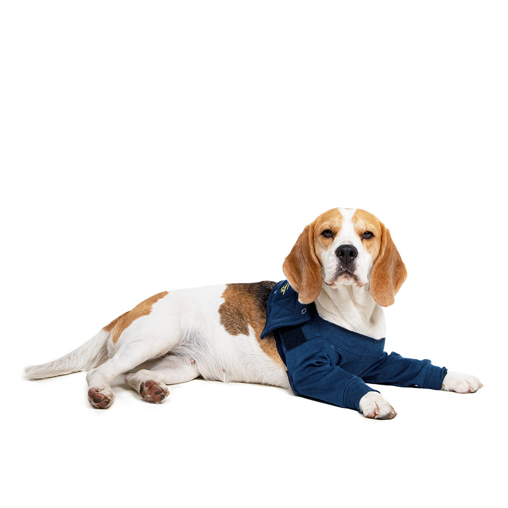 MPS-TAZ2® DOUBLE FRONT LEG SLEEVES DOG