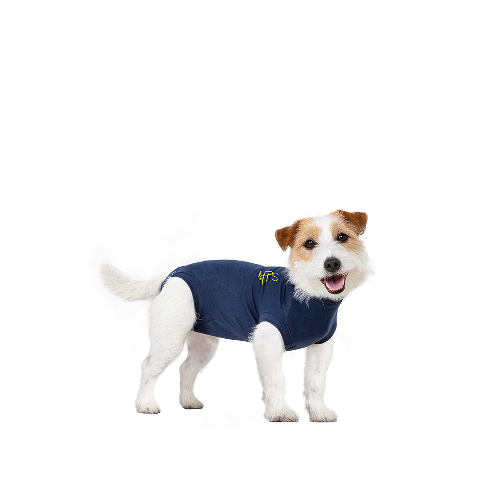 Medical pet shirt dog pets store at home