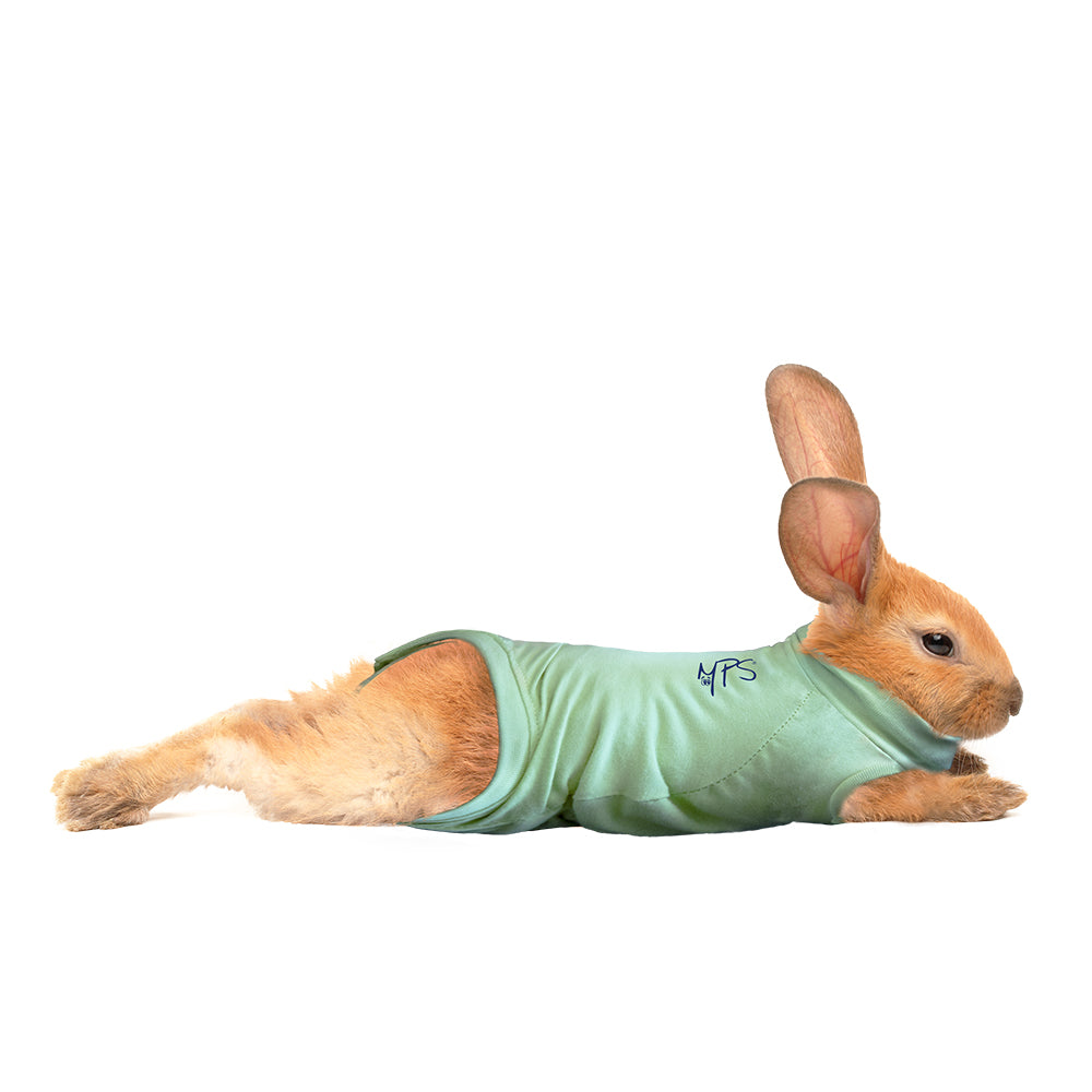 MPS MEDICAL PET SHIRT RABBIT Medical Pet Shirts Australia